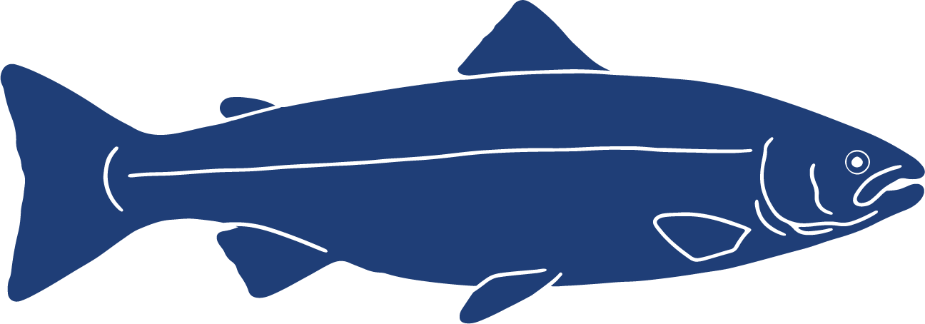 Fish Icons Atlantic Salmon Salmo salar