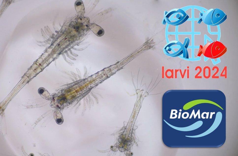 BIOMAR Gold sponsor of the 2024 LARVI conference_2