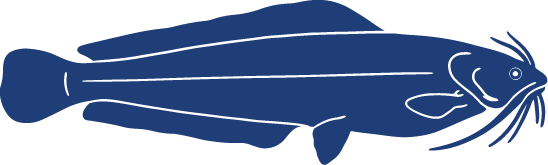 Detailed Fish Icons FINAL Cat Fish