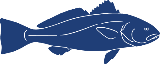 Detailed Fish Icons FINAL Meagre