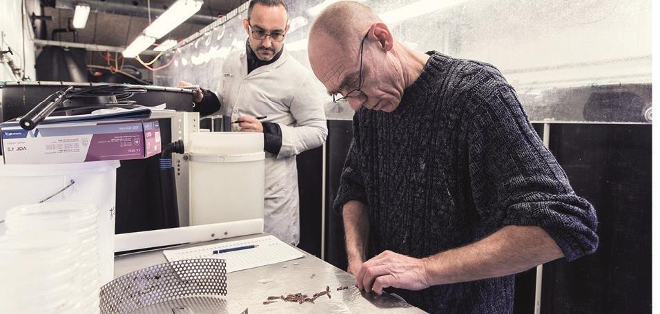 driven by innovation