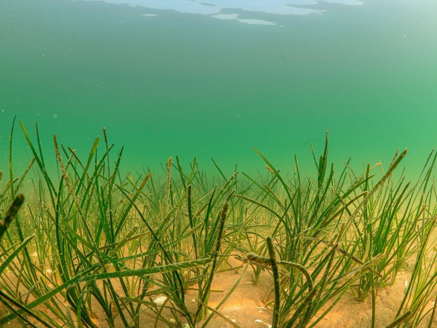 photo-credit_timdencker_fur-54