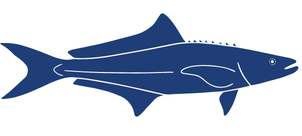 Detailed Fish Icons FINAL Cobia