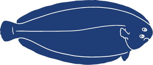 Detailed Fish Icons_FINAL Sole.png