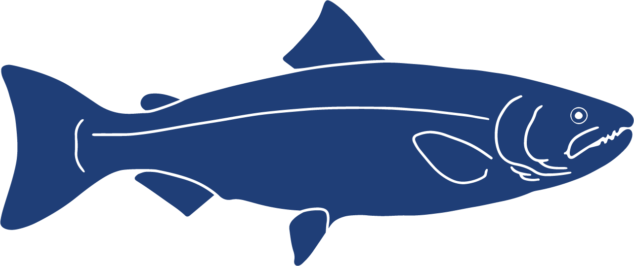 Fish Icons Coho Slamon Oncorhynchus kisutch