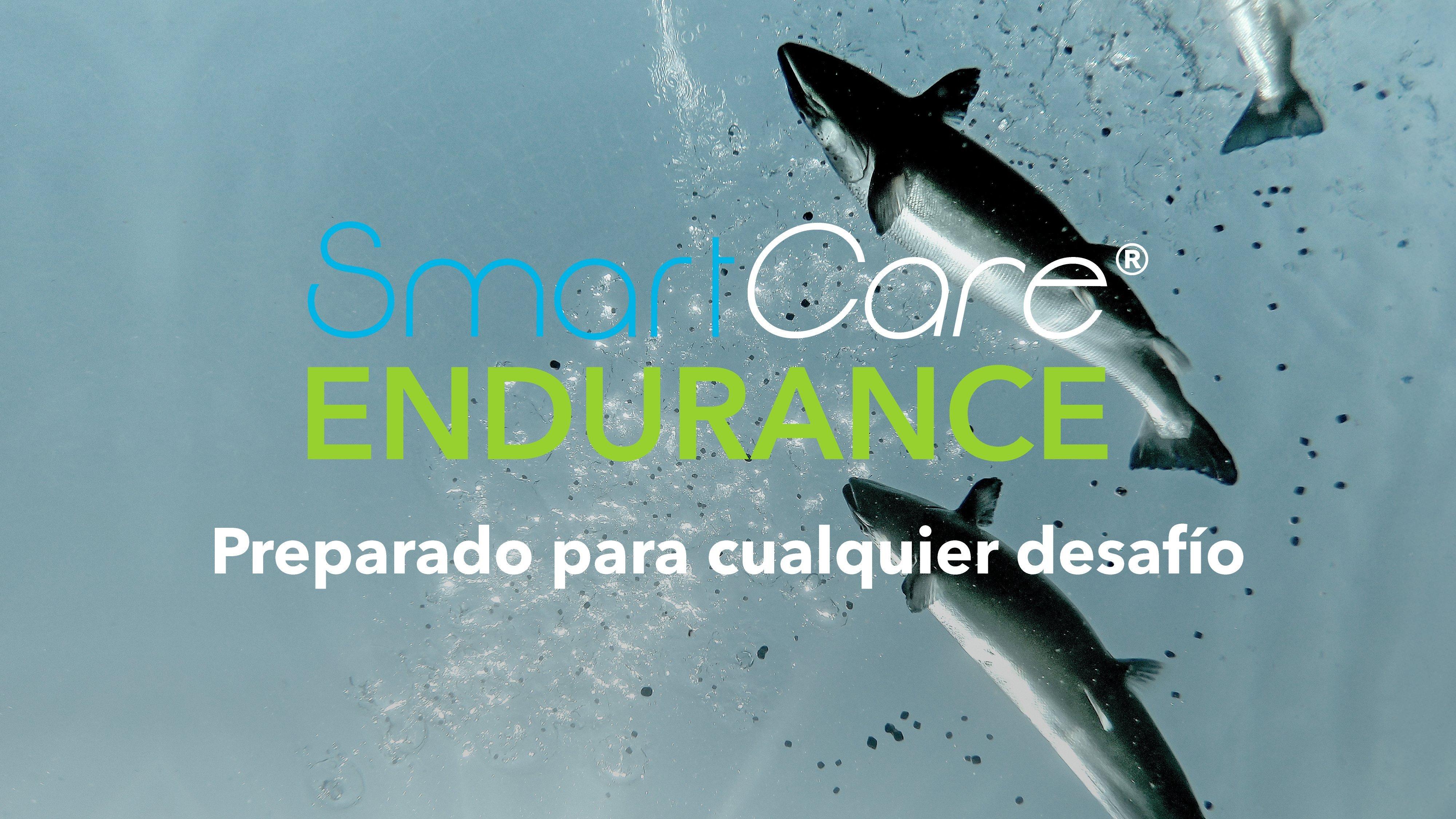 2024-12 ES_CL SmartCare Endurance_Mesa de trabajo 1 copia 1