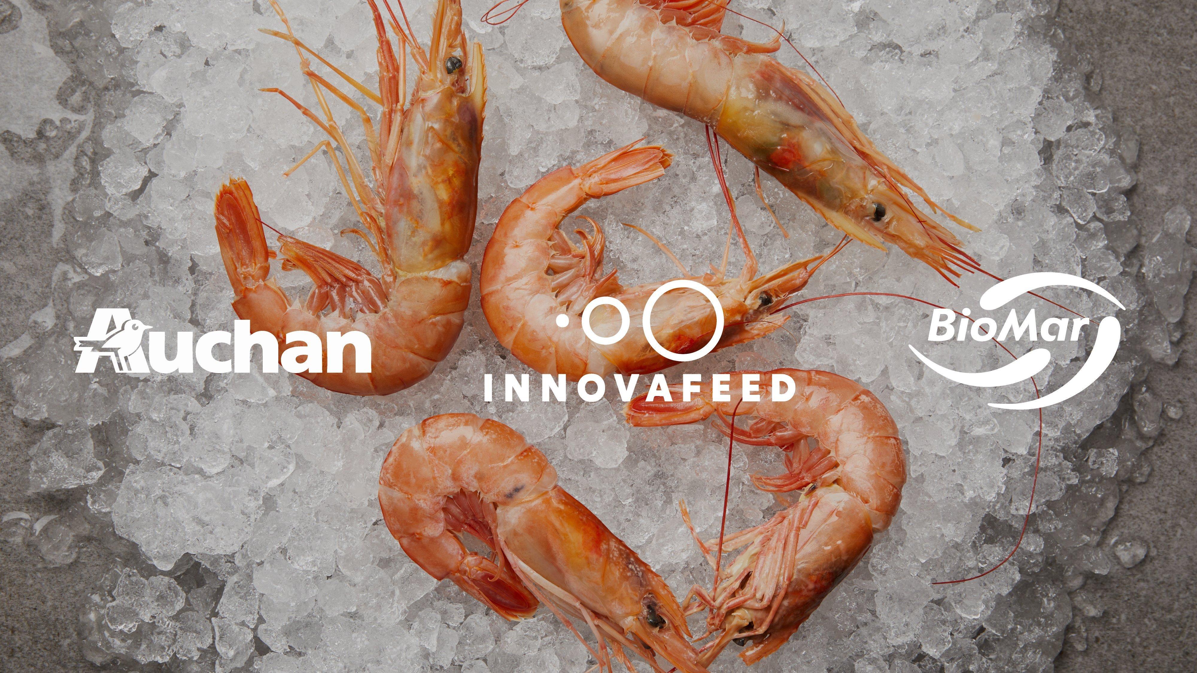 InnovafeedBioMarAuchan2025