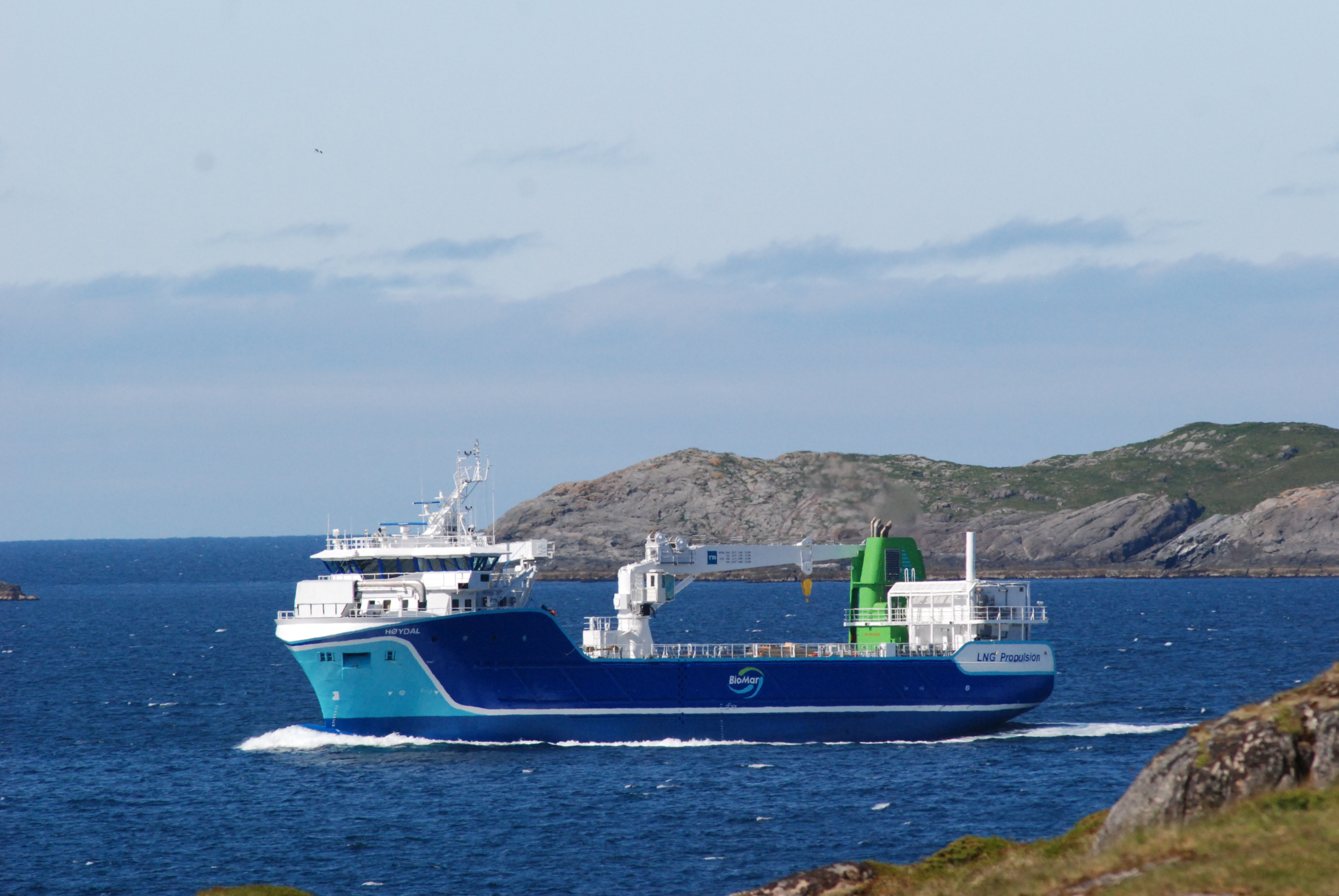 Fotograf: Steffen Kalås