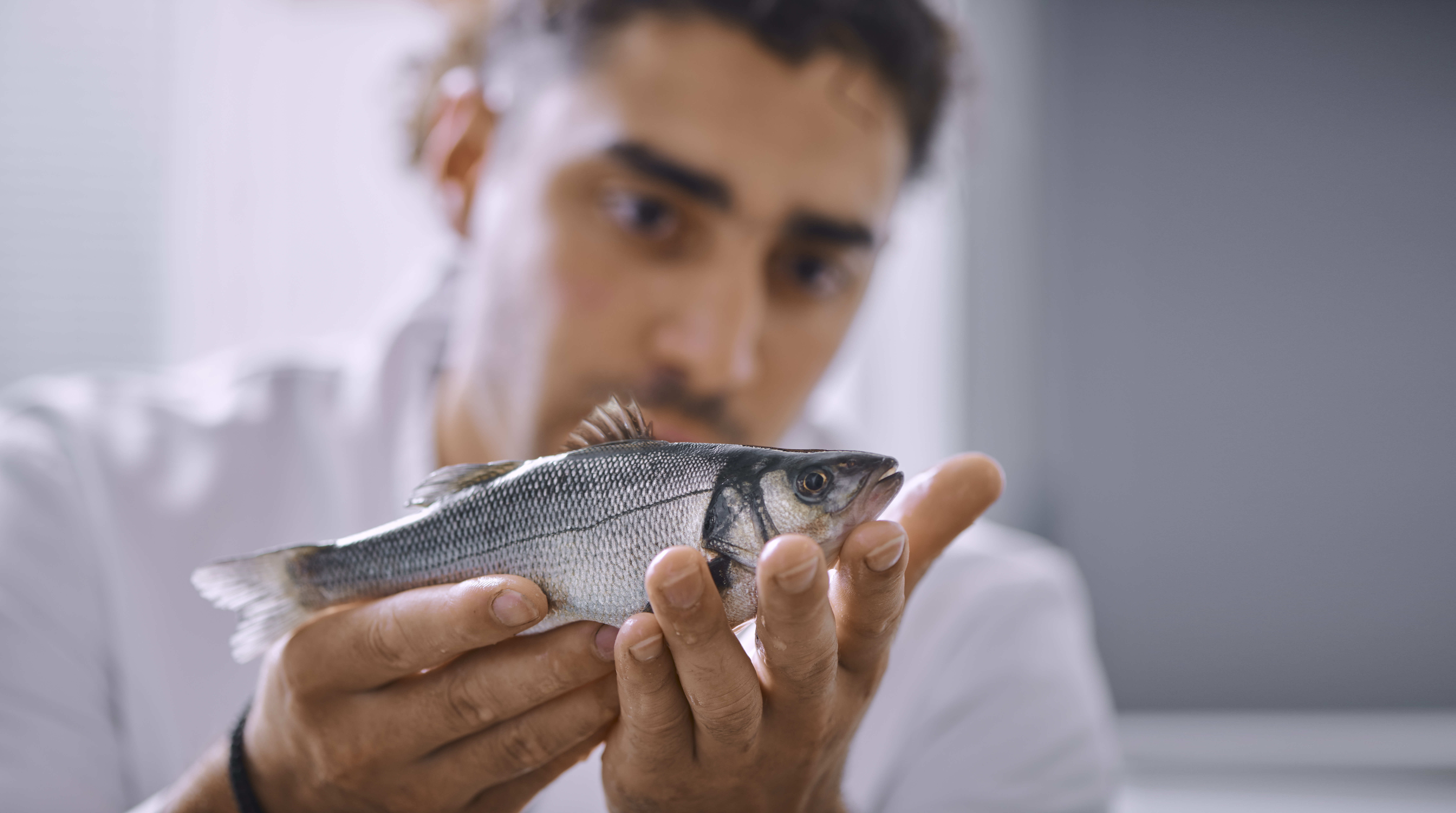 Image-Fish-European Sea Bass-ATC-biomar_20200915_hirtshals_8634 edit.jpg