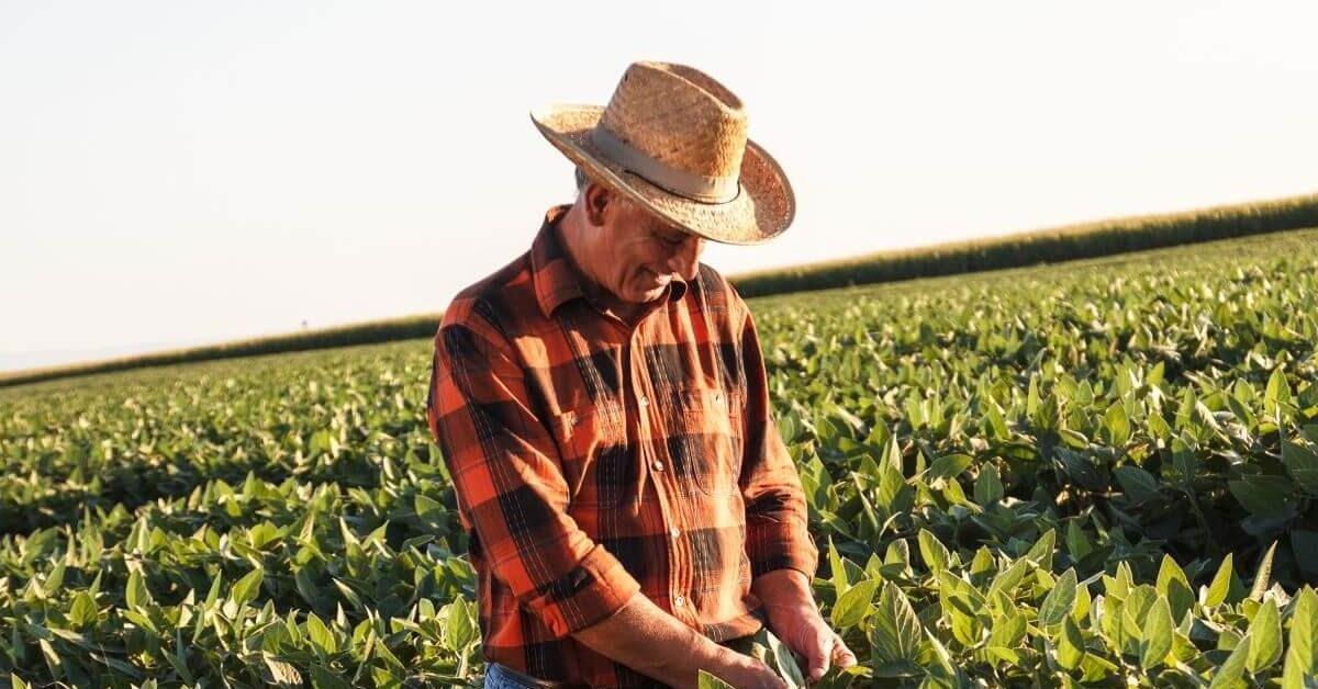 biomar sources benson hill ingredients to boost sustainability of aquafeed 