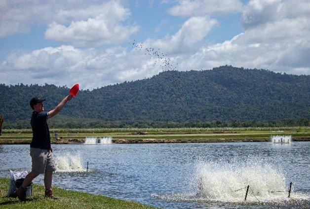 farmer-feeding-biomar