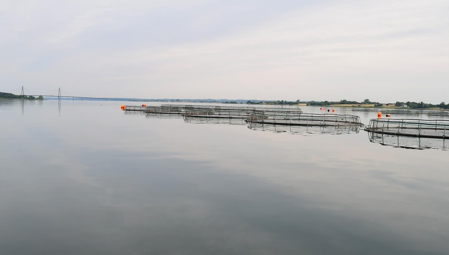 gronsund 3   aquapri