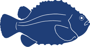 Detailed Fish Icons FINAL Lumpfish